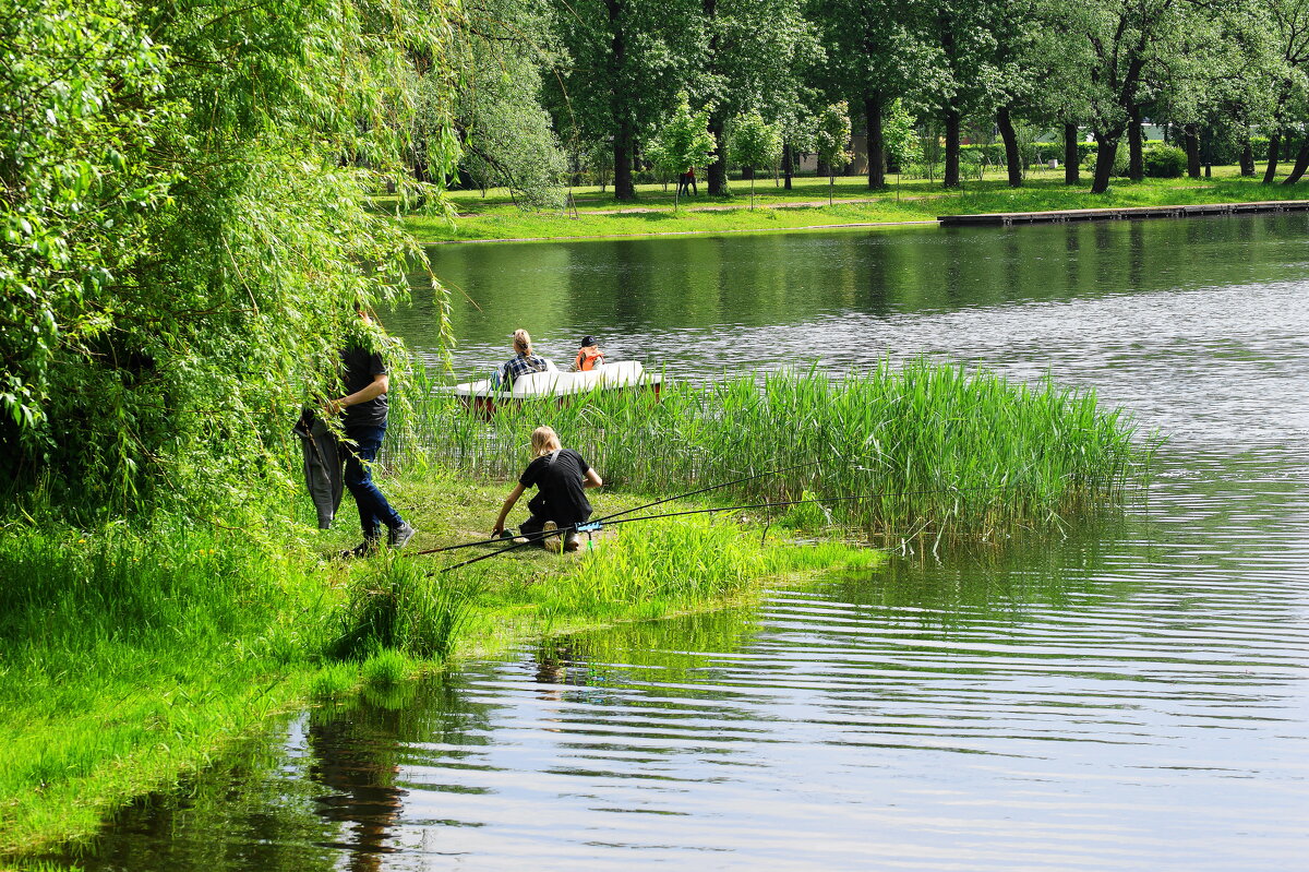 ПАРК ПОБЕДЫ - Виктор Никитенко