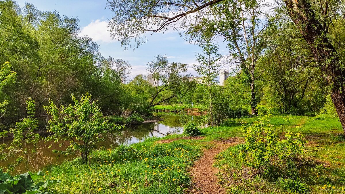 По дороге ... - Kirill 