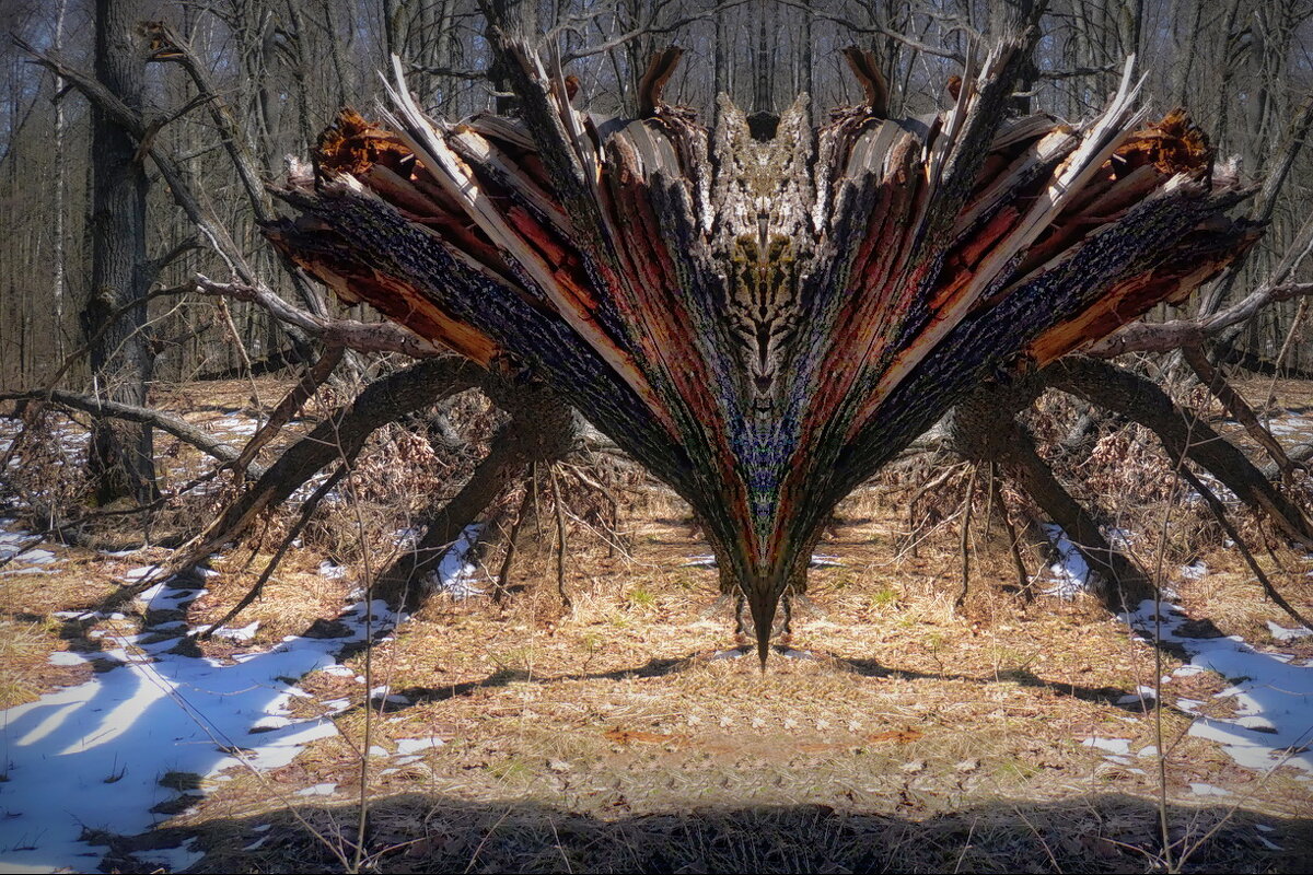 Встреча нежданная... - Владимир Шошин Встреча нежданная... - Владимир Шошин