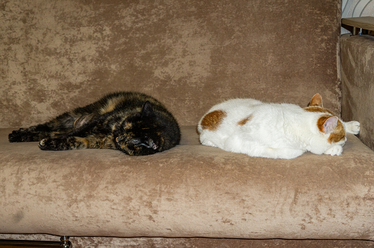 На отдыхе - Ирина Соловьёва На отдыхе - Ирина Соловьёва