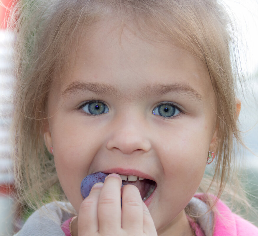 Созрели сливы у бабушки в саду. - Игорь Викторов
