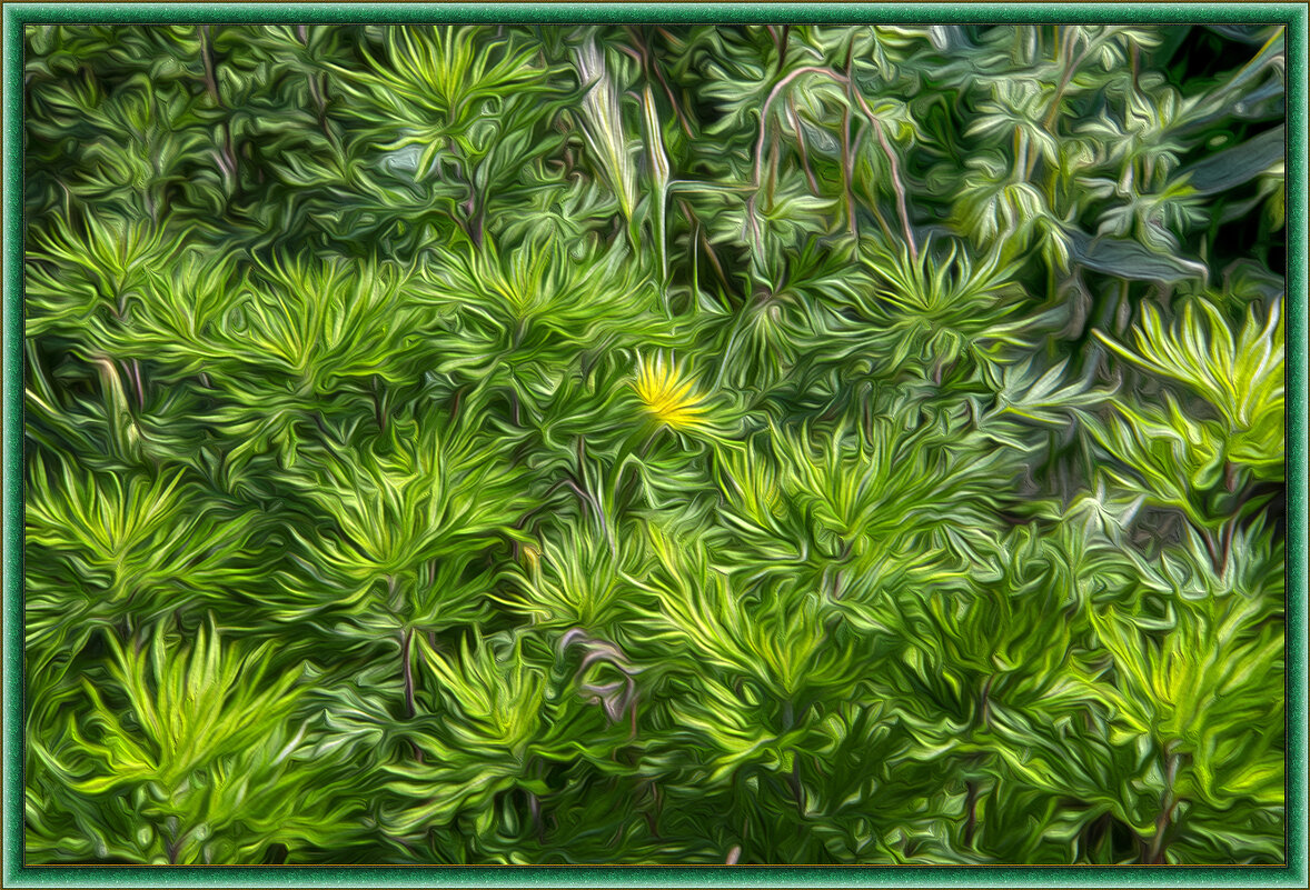 Зелёное раздолье - Анатолий Чикчирный