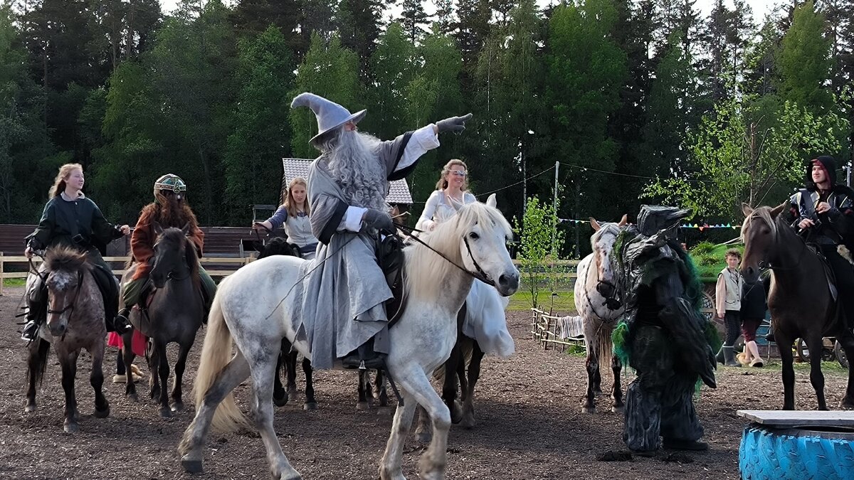 Властелин колец в Яви Нави. - Ольга 