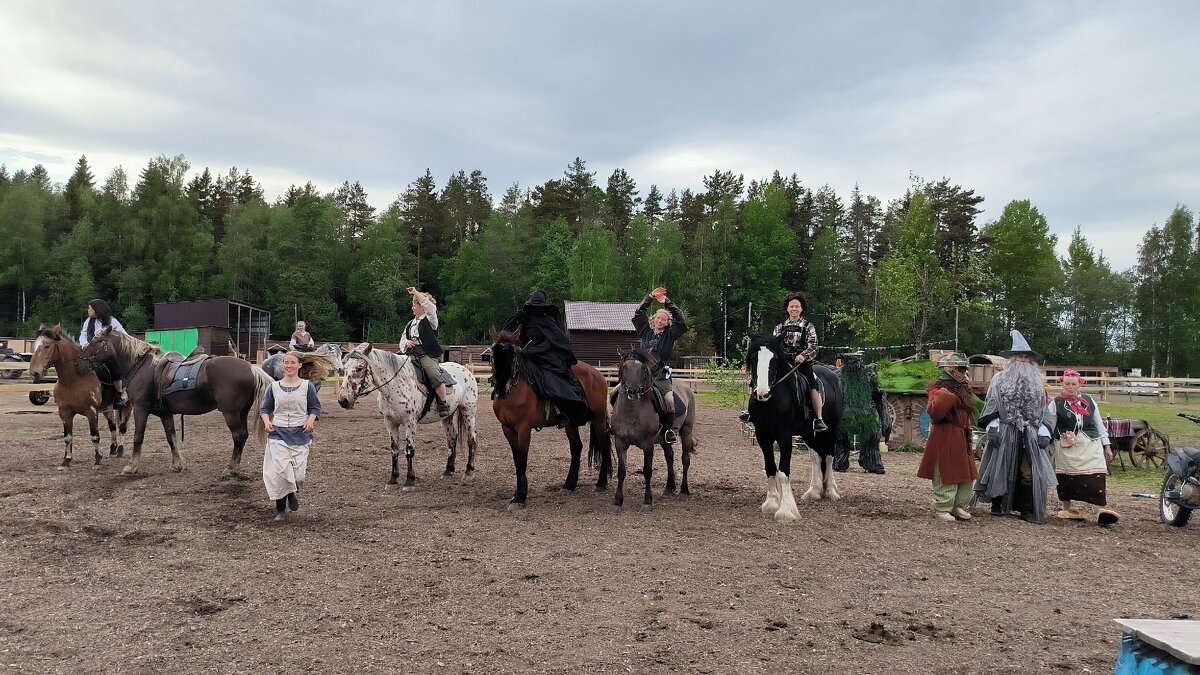 Мото-конное шоу. - Ольга Мото-конное шоу. - Ольга