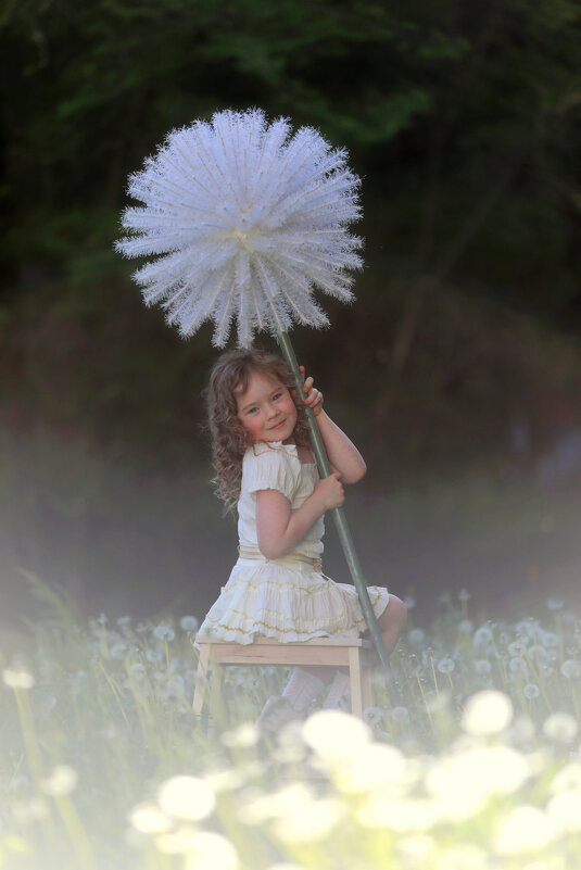 Одуванчик - Ольга Юртаева Одуванчик - Ольга Юртаева