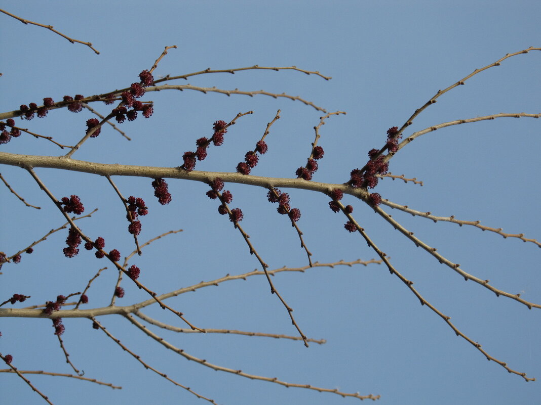 так начинался апрель - Елена Шаламова