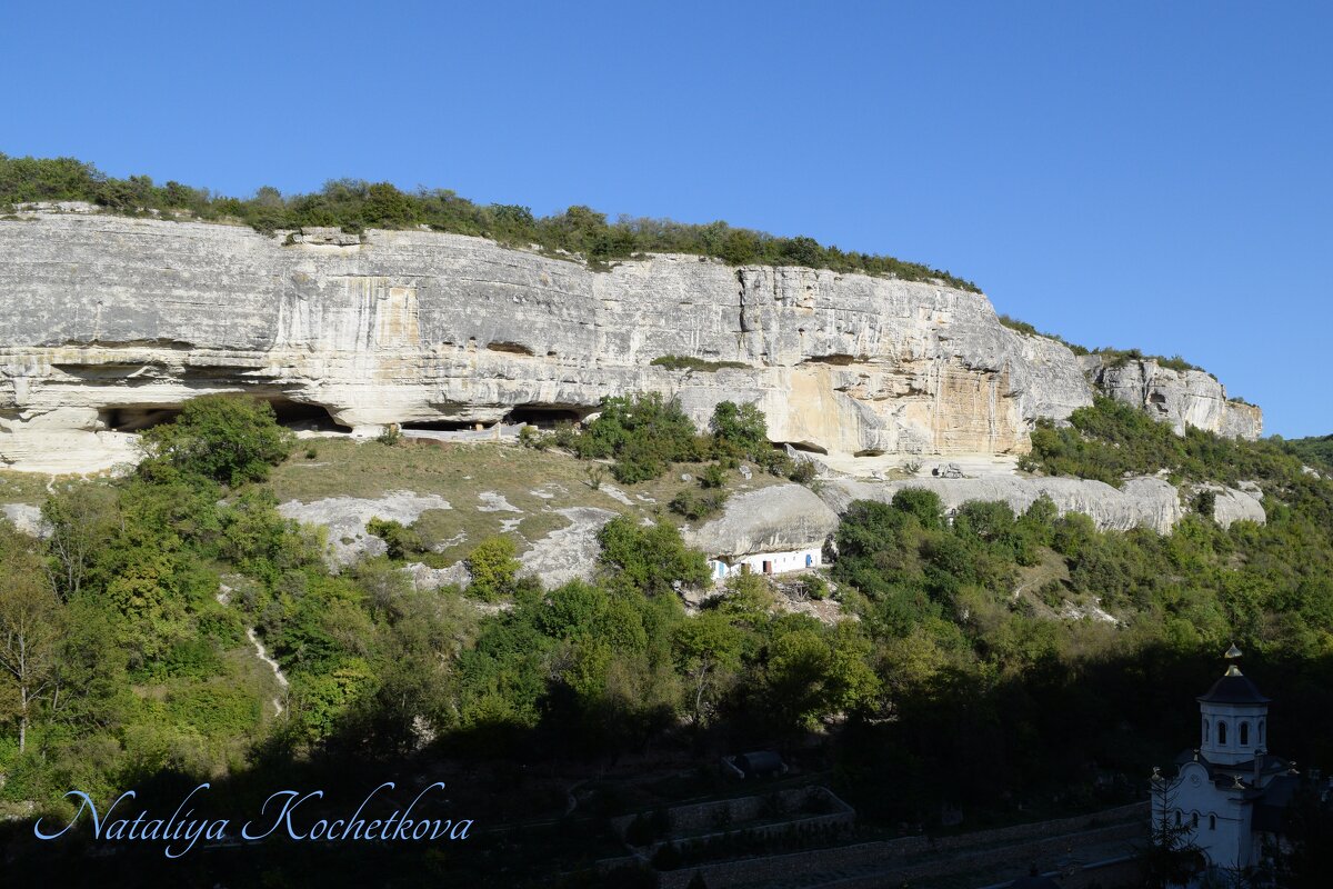 Природа Крыма - Amazing Cosmea