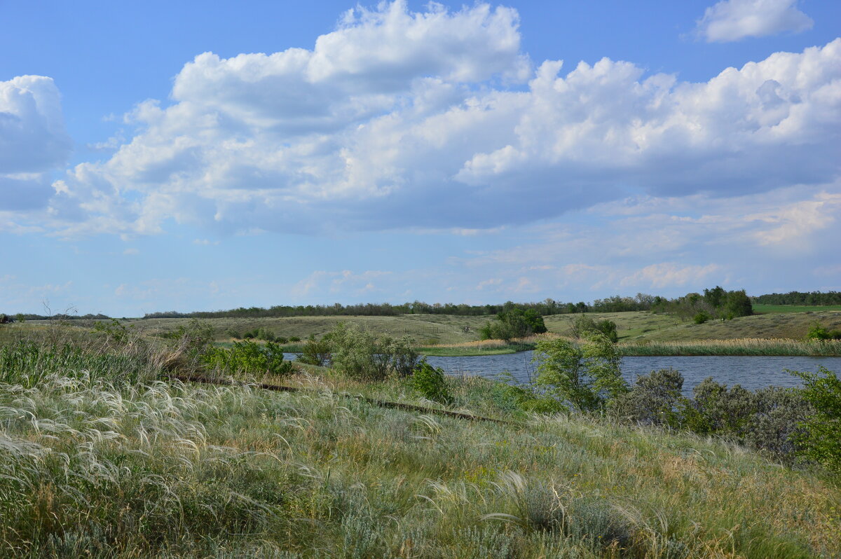 Местные зарисовки. - Виктор 