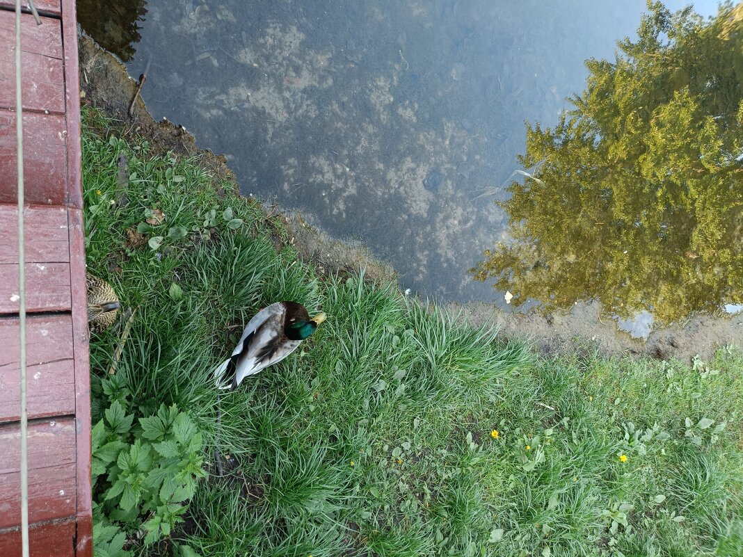 береговая линия - Галина R...