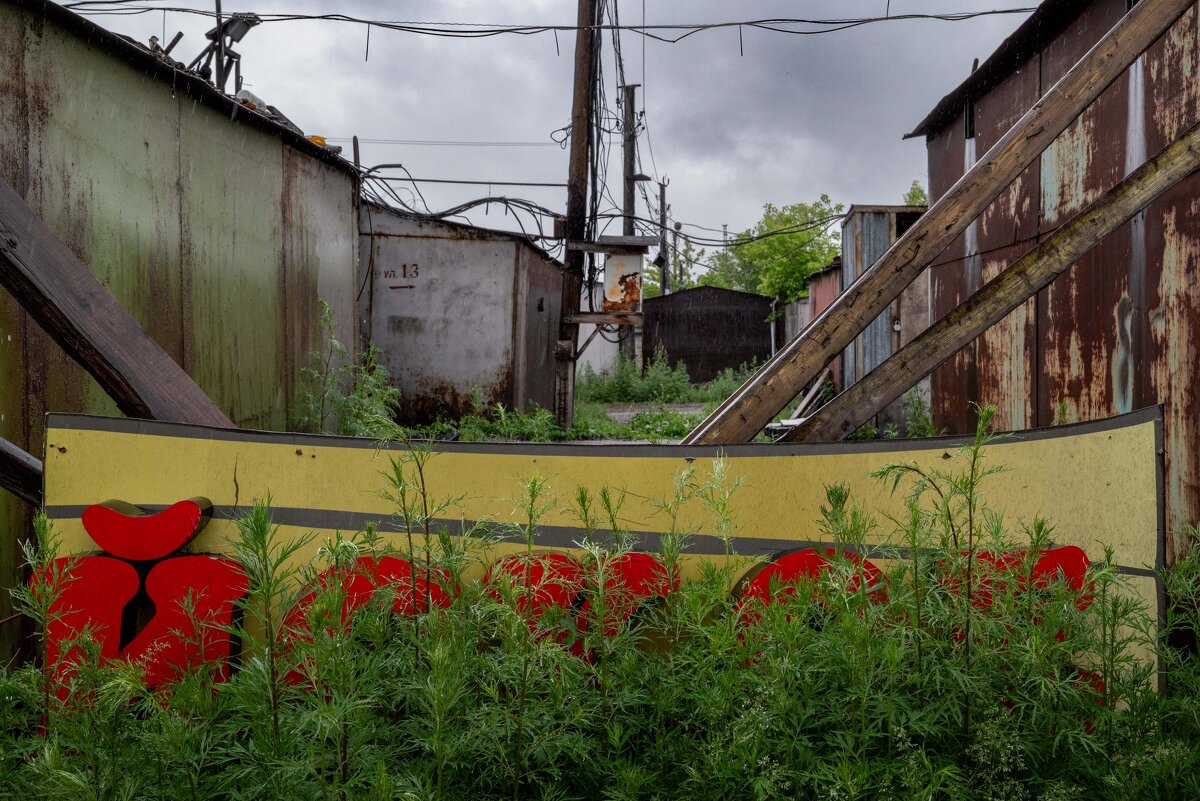 *** - Валерий Михмель 