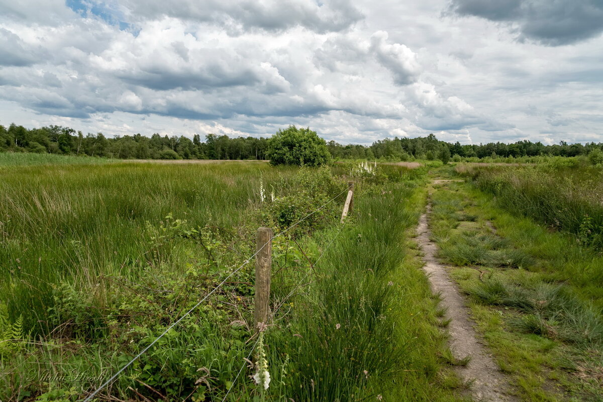 Тропинка свободы... - Николай Гирш Тропинка свободы... - Николай Гирш