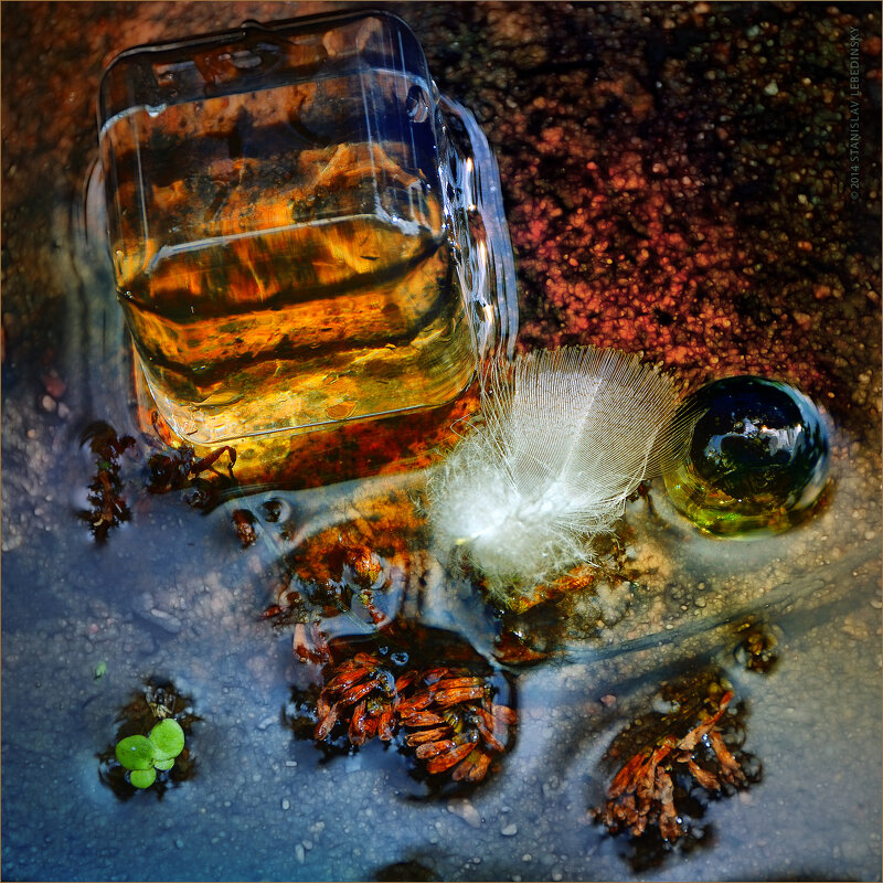 Артефакты_Nikon D5200_18-200 MM - Станислав Лебединский Артефакты_Nikon D5200_18-200 MM - Станислав Лебединский