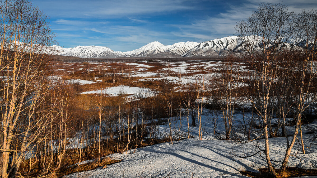 ... - Жора Житников