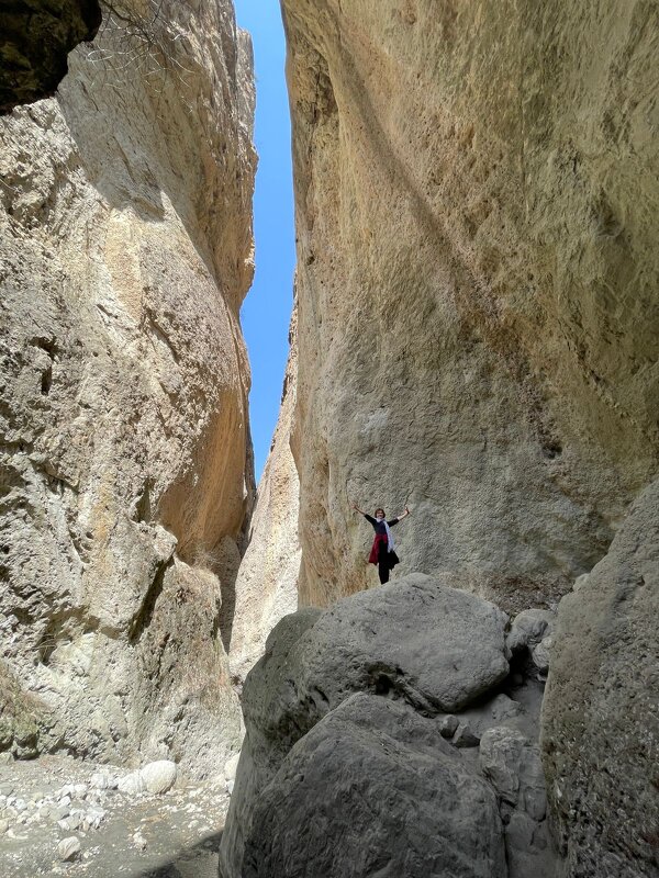 каменная чаша 2 - Константин Трапезников каменная чаша 2 - Константин Трапезников