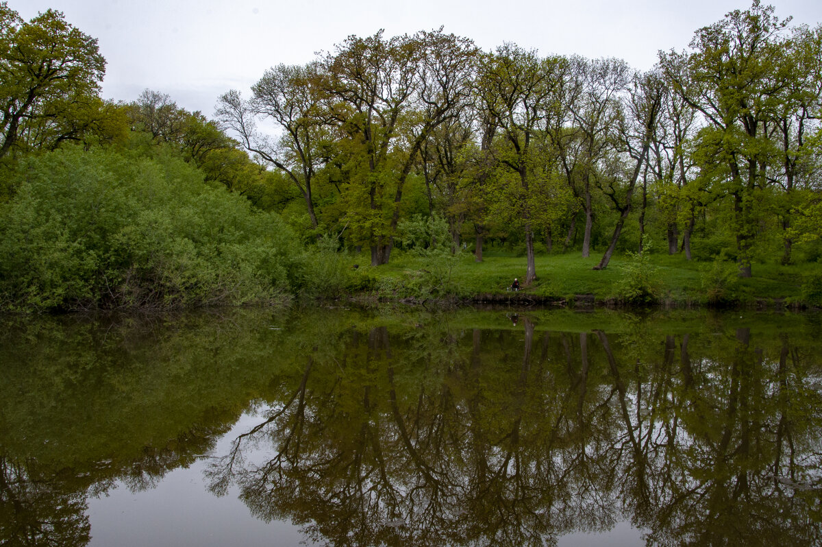 Здесь когда-то находилась дача Ртищева - Gen 