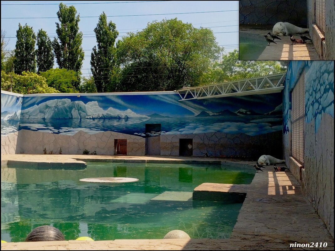 В ростовском зоопарке - Нина Бутко В ростовском зоопарке - Нина Бутко