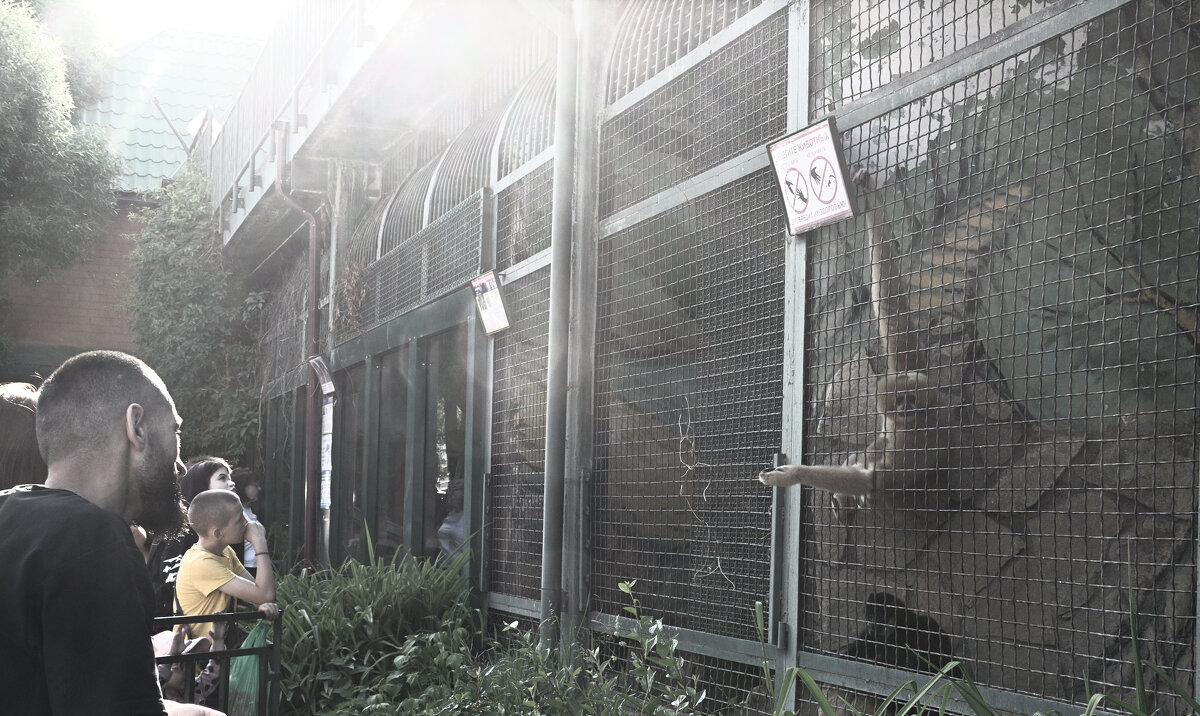 *** - Сергей Сергеев