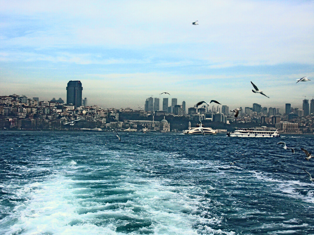 Стамбул - 9 - Артём Кузнецов