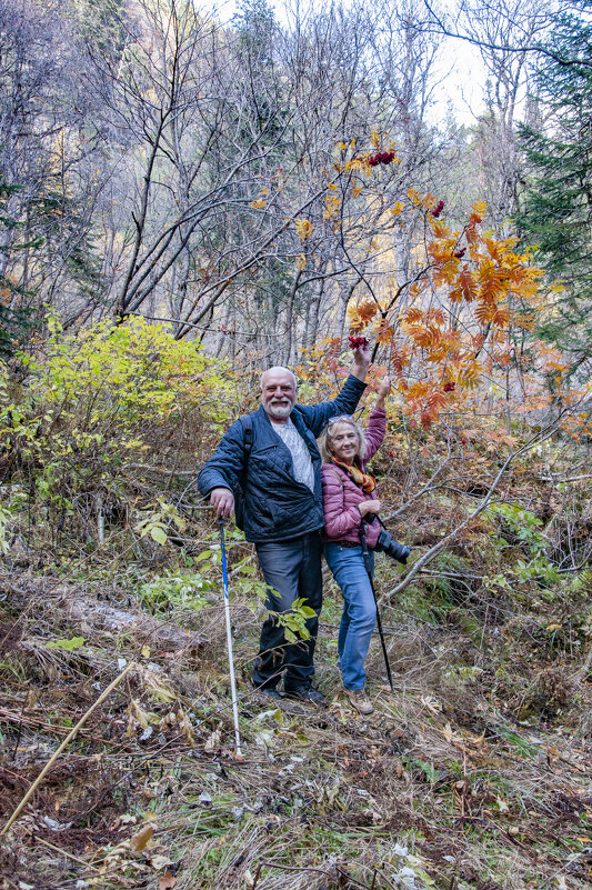 только в перёд - Алексей Фокин только в перёд - Алексей Фокин