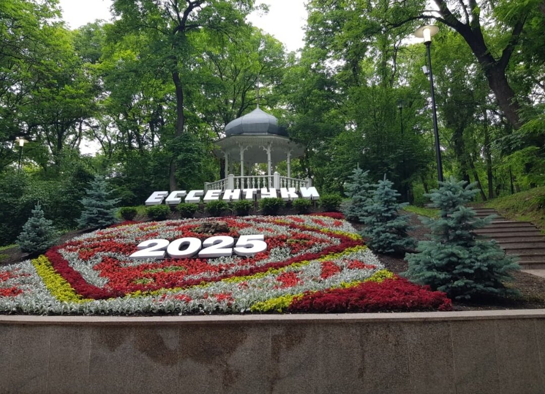 ЕССЕНТУКИ - Tata Wolf