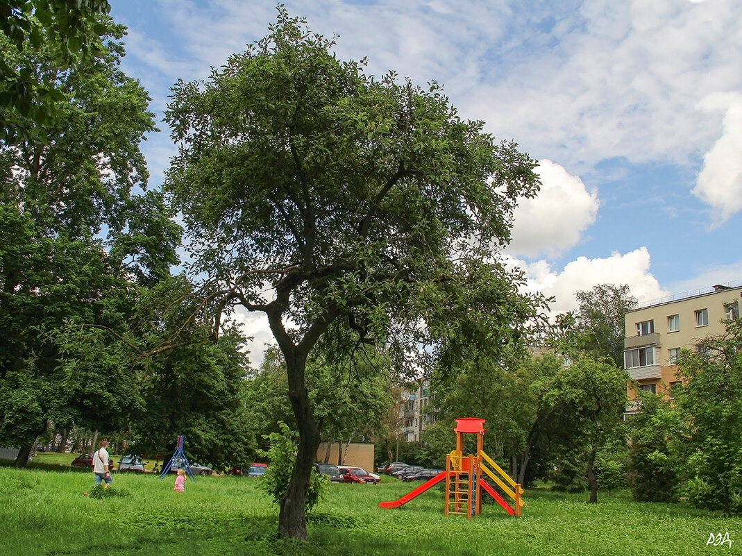 *** - Роланд Дубровский *** - Роланд Дубровский