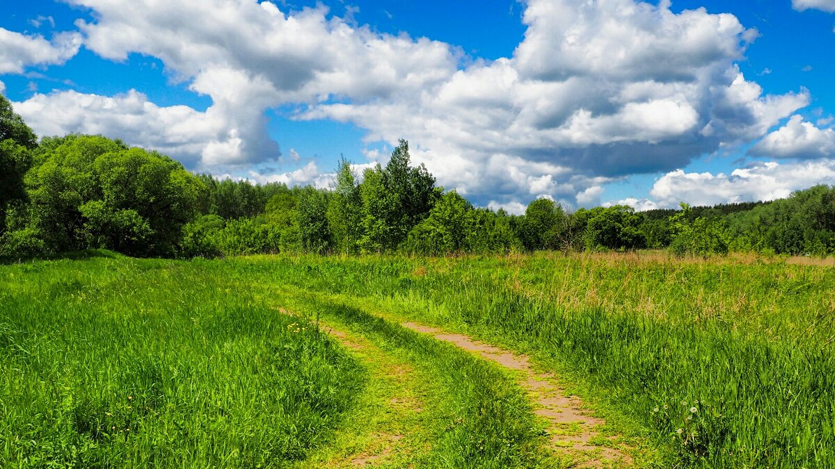 Наше лето. - Милешкин Владимир Алексеевич Наше лето. - Милешкин Владимир Алексеевич