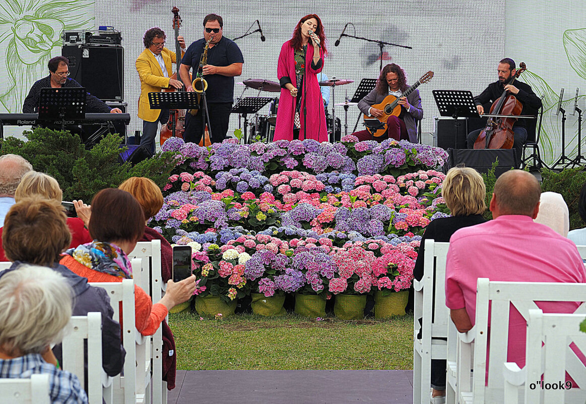 живая музыка - Олег Лукьянов живая музыка - Олег Лукьянов