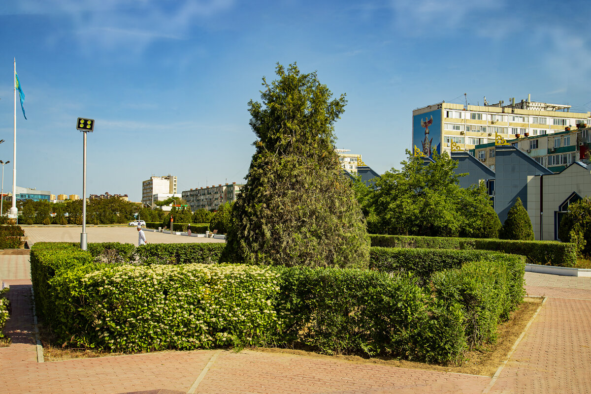 Туя - Анатолий Чикчирный