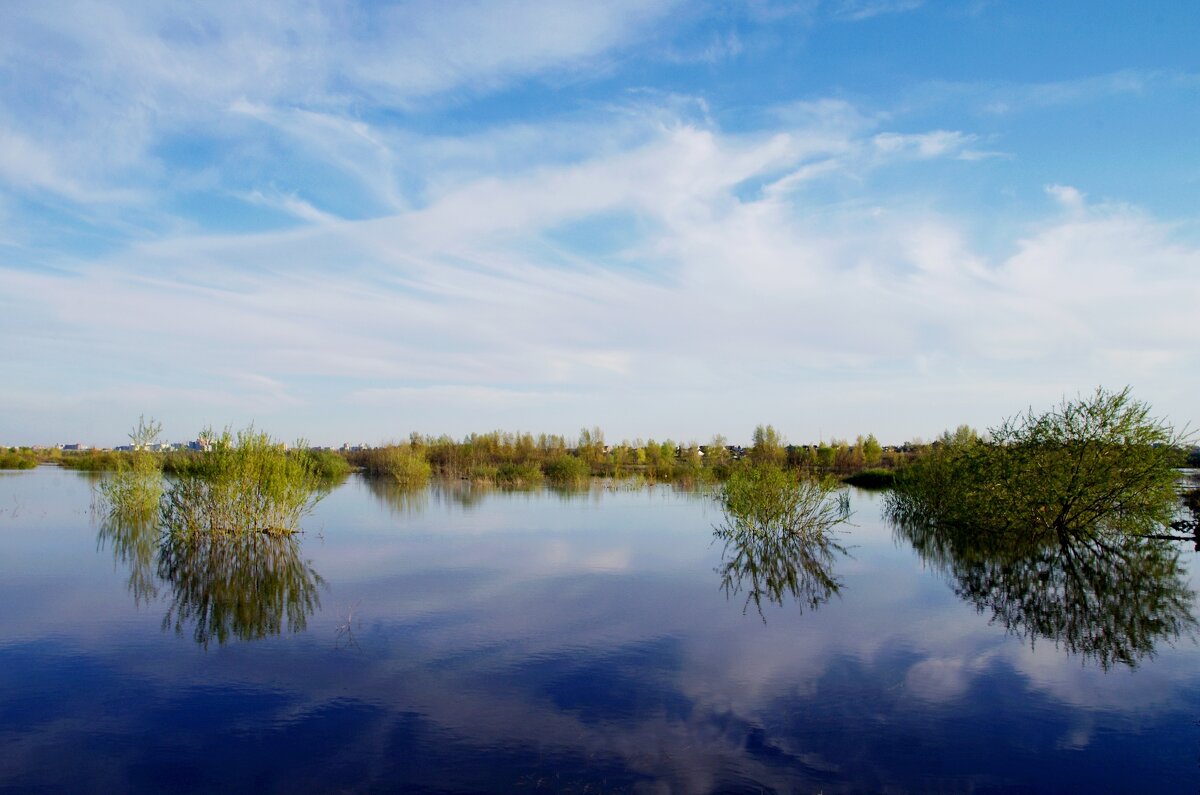 Заливные луга - Сергей Швечков