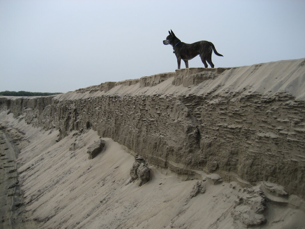 У протоки - Anna Ivanova