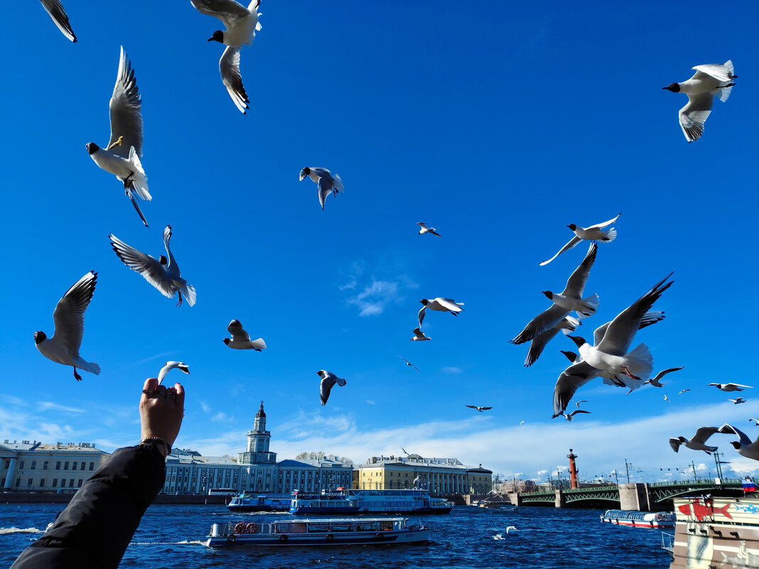 ..хлебом не корми..)) - tipchik ..хлебом не корми..)) - tipchik