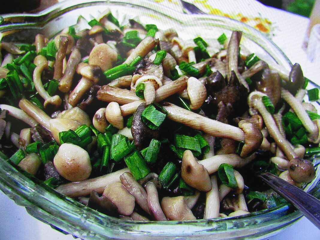 Маринованные опята - Людмила Смородинская