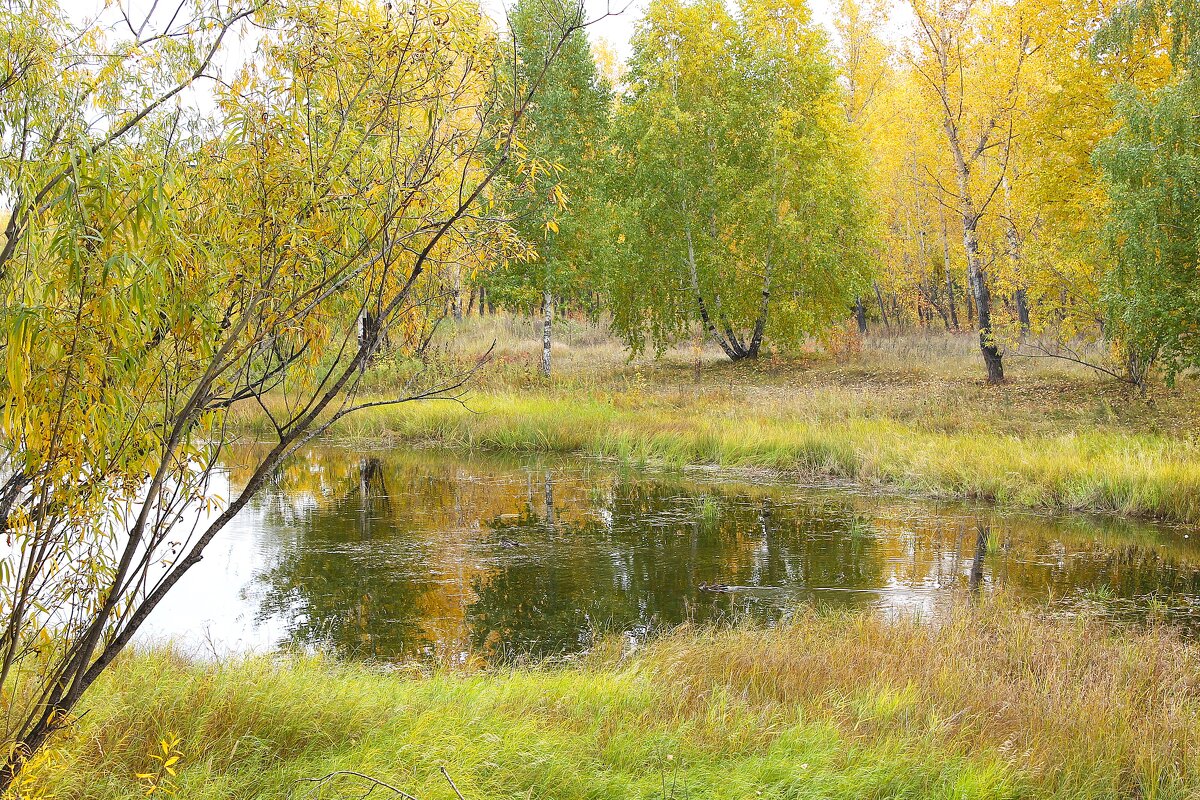 Осень в городе.. - Василий Осень в городе.. - Василий
