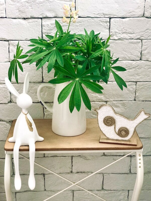 Просто так)) люпин осыпался, а листики красивые я оставила) - Альбина Просто так)) люпин осыпался, а листики красивые я оставила) - Альбина