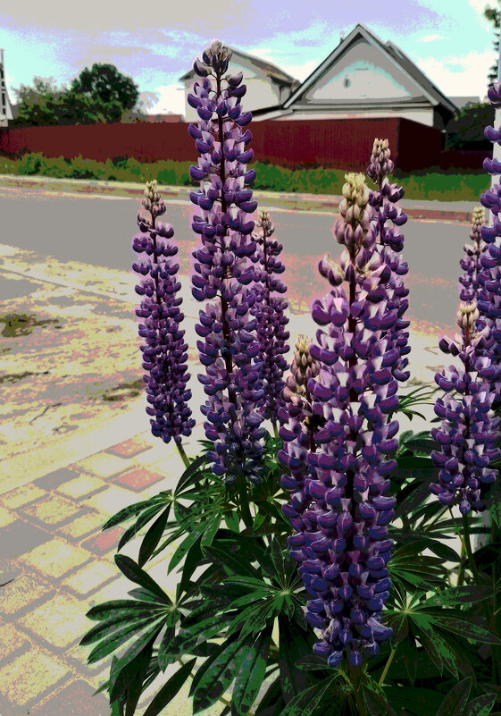 *** - Валентина Береснева