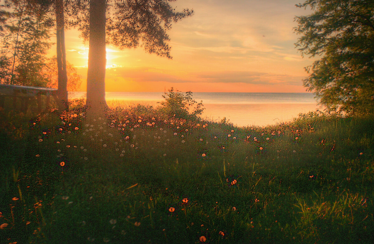 *** - Сергей Григорьев *** - Сергей Григорьев