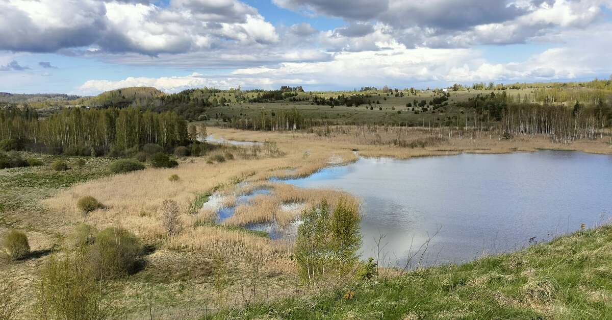 Городищенское озеро - Ольга Чистякова