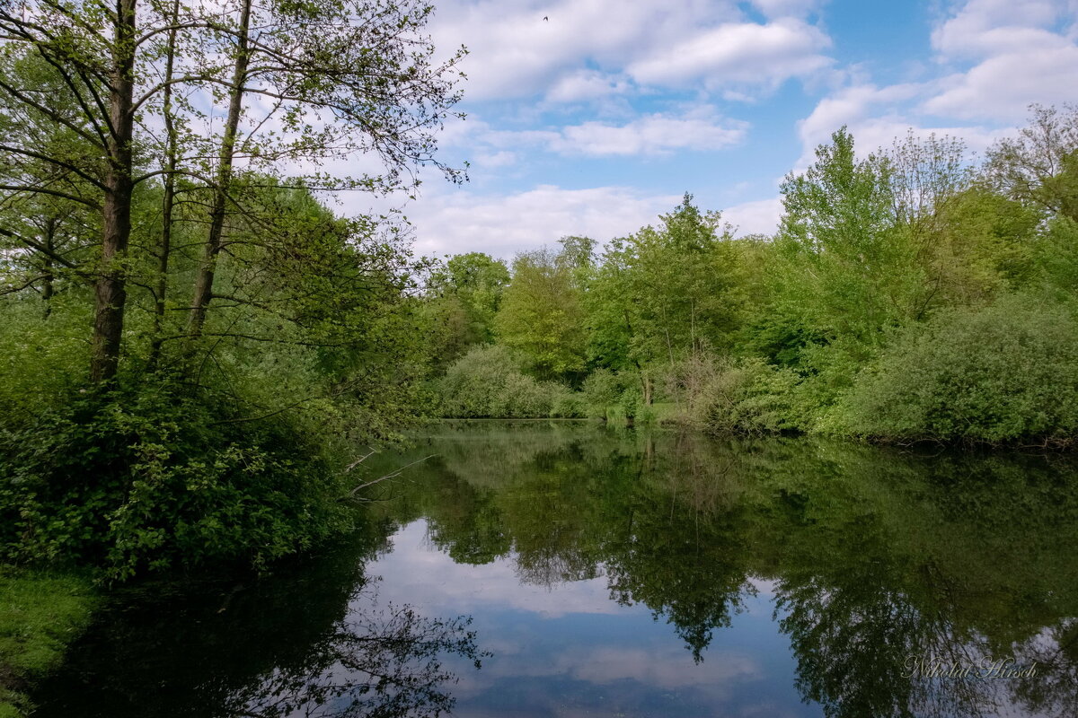Просто пруд... - Николай Гирш Просто пруд... - Николай Гирш