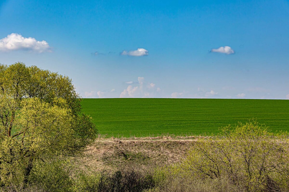 Прогулка по окрестностям - Юра Викулин
