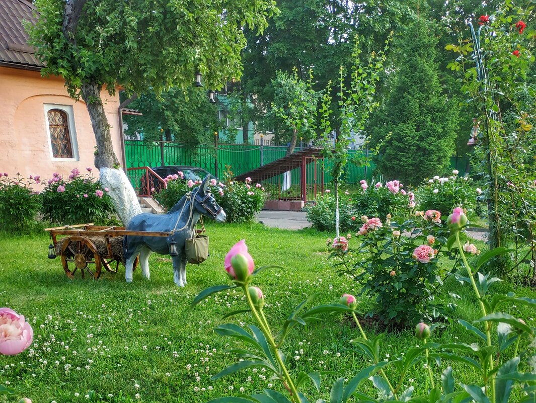 композиция сада - Валентина. .