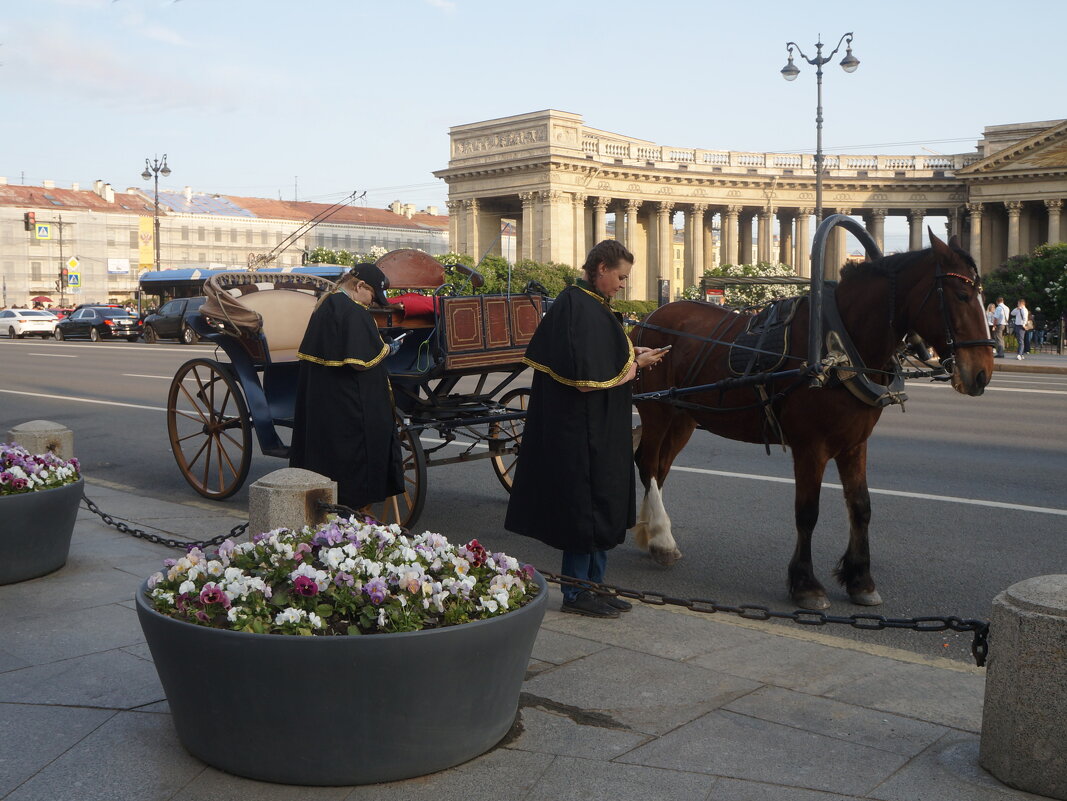 кучерихи - zavitok *