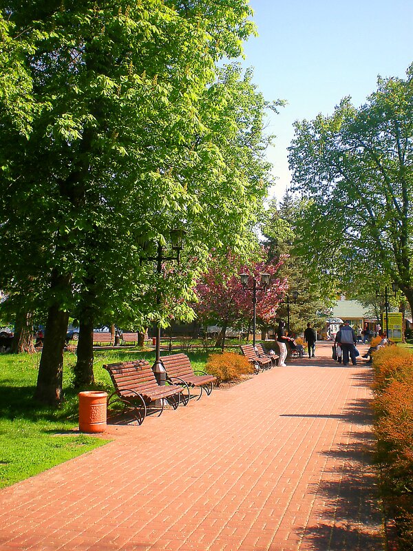 Мой родной город - Роман Савоцкий Мой родной город - Роман Савоцкий