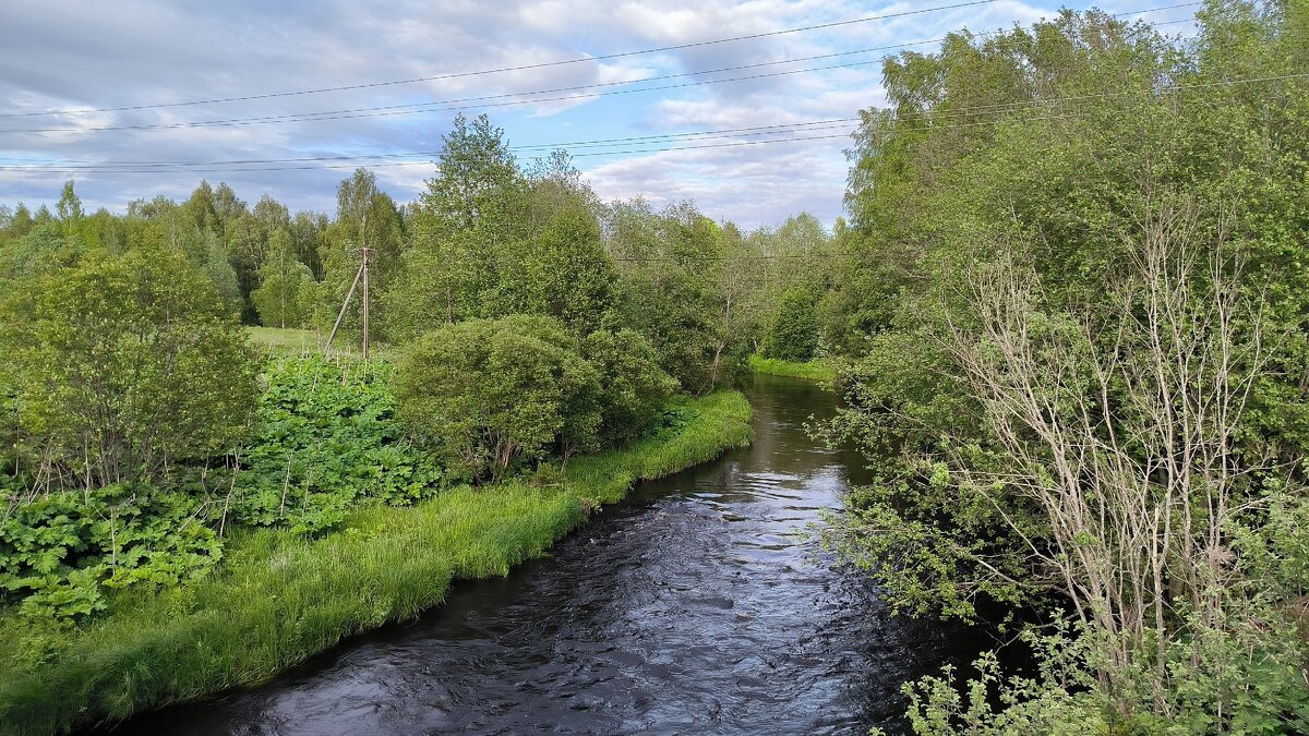 Река Гороховка. - Ольга 
