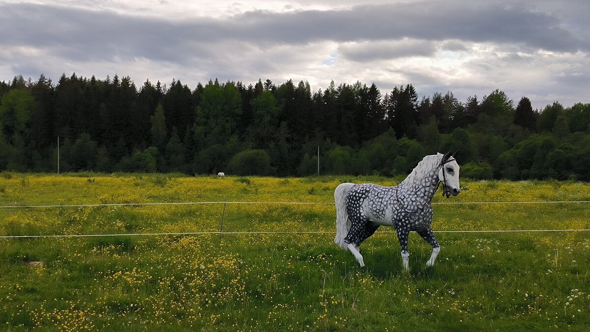 Кони в яблоках, кони серые.. - Ольга 