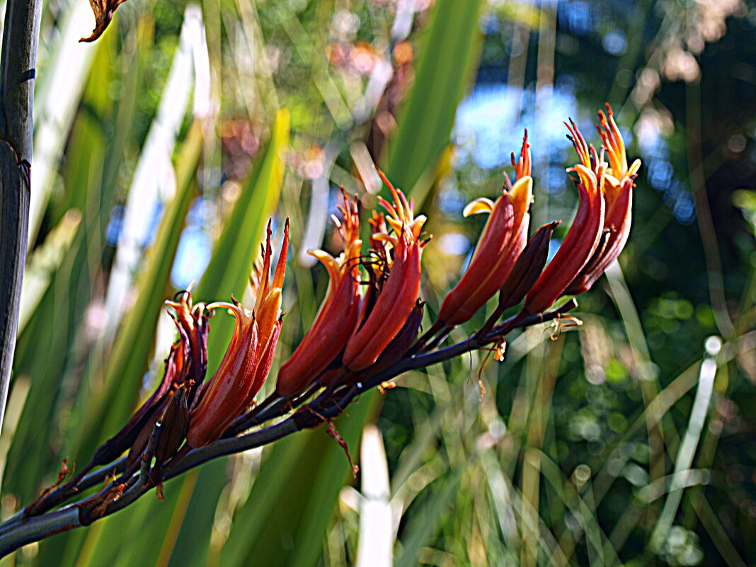 Барселона. - Владимир Драгунский Барселона. - Владимир Драгунский