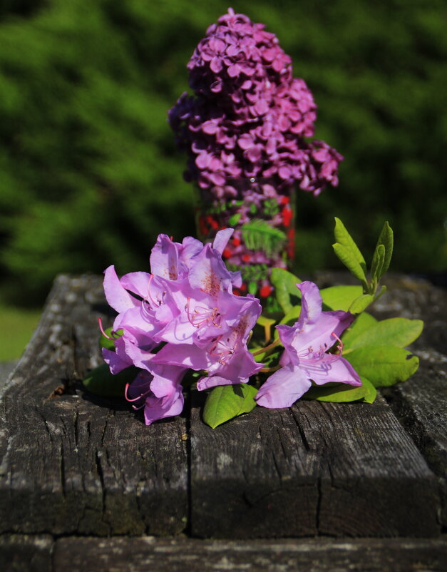 Летнее Настроение :) - Татьян@ Ивановна Летнее Настроение :) - Татьян@ Ивановна