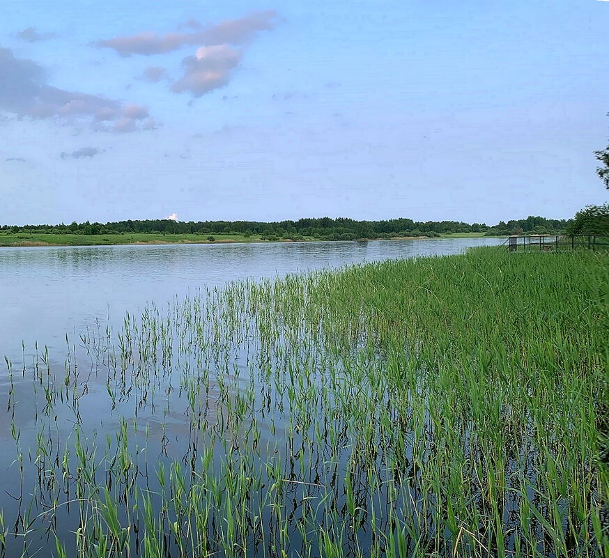 Вечереет и луна взошла... - Ольга Довженко Вечереет и луна взошла... - Ольга Довженко