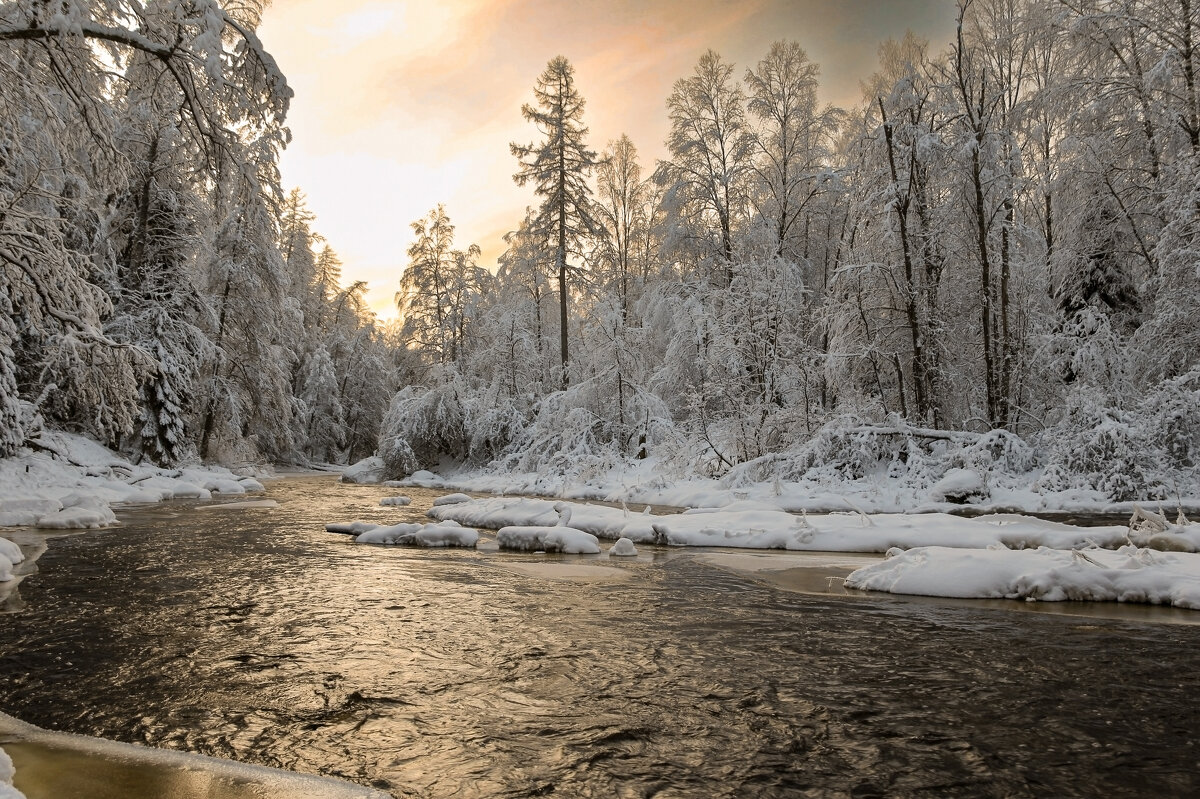 Линдуловская роща - skijumper Иванов