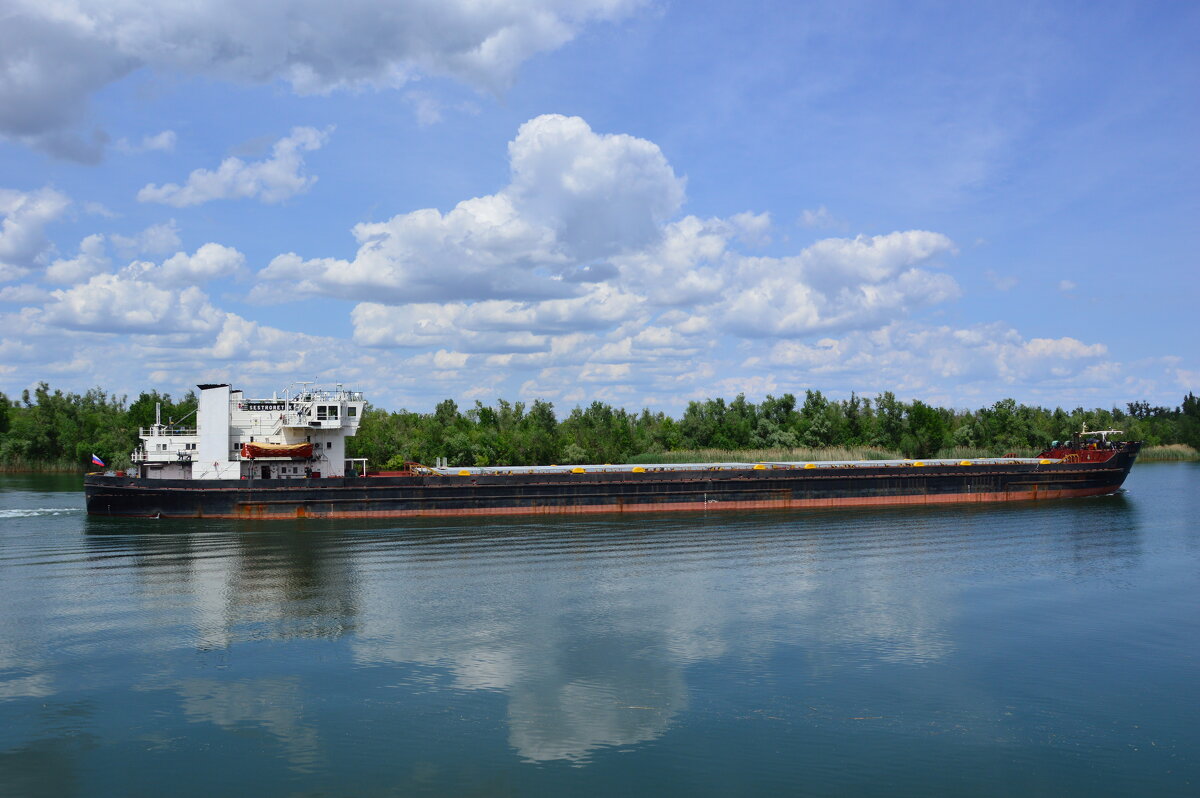 Дон трудяга. - Виктор 