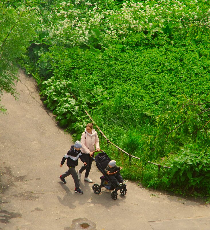 Не пора-ли косить?.. - Юрий Куликов